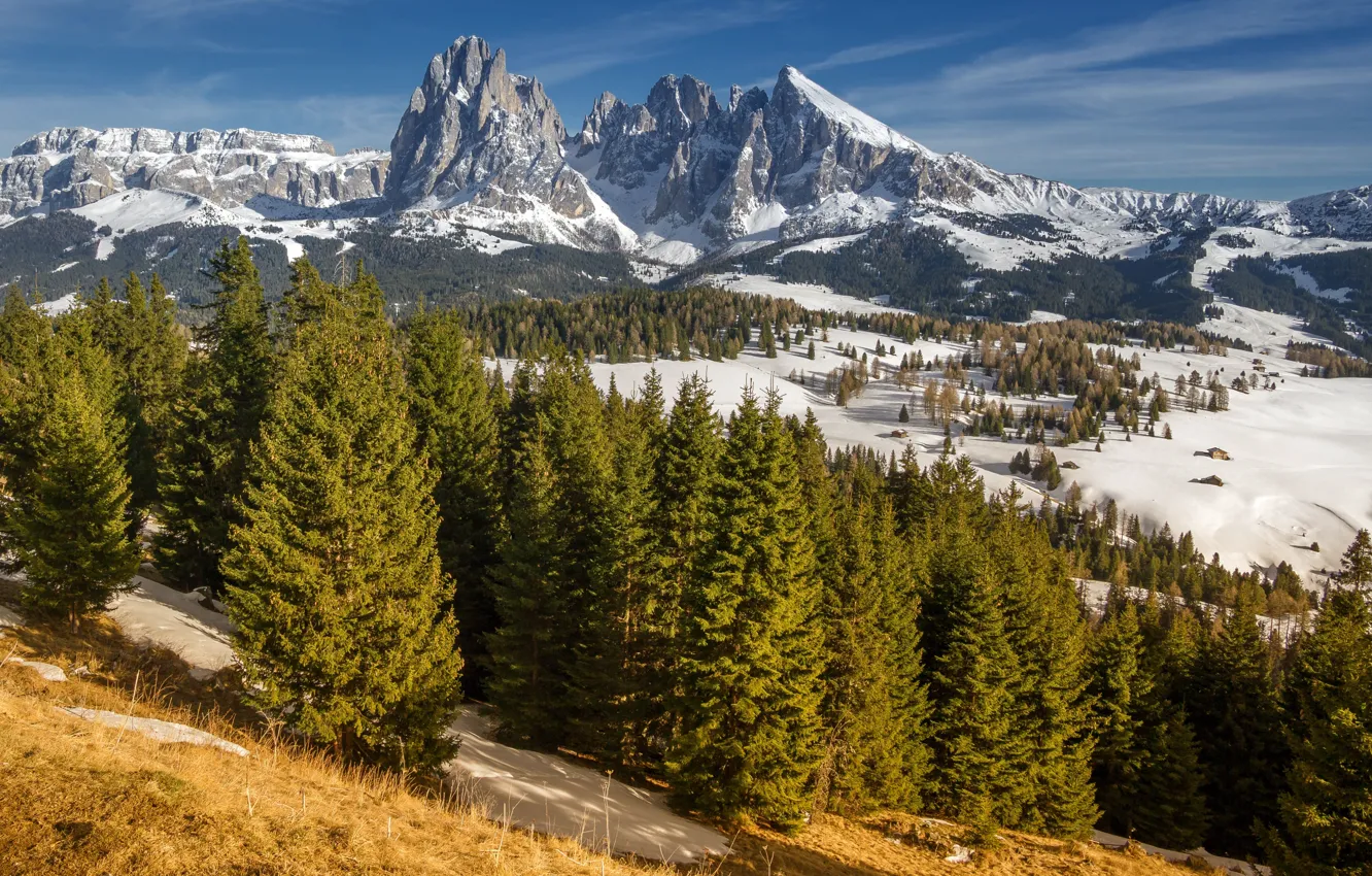 Фото обои снег, деревья, горы, Италия, South Tyrol, Dolomites, Langkofel
