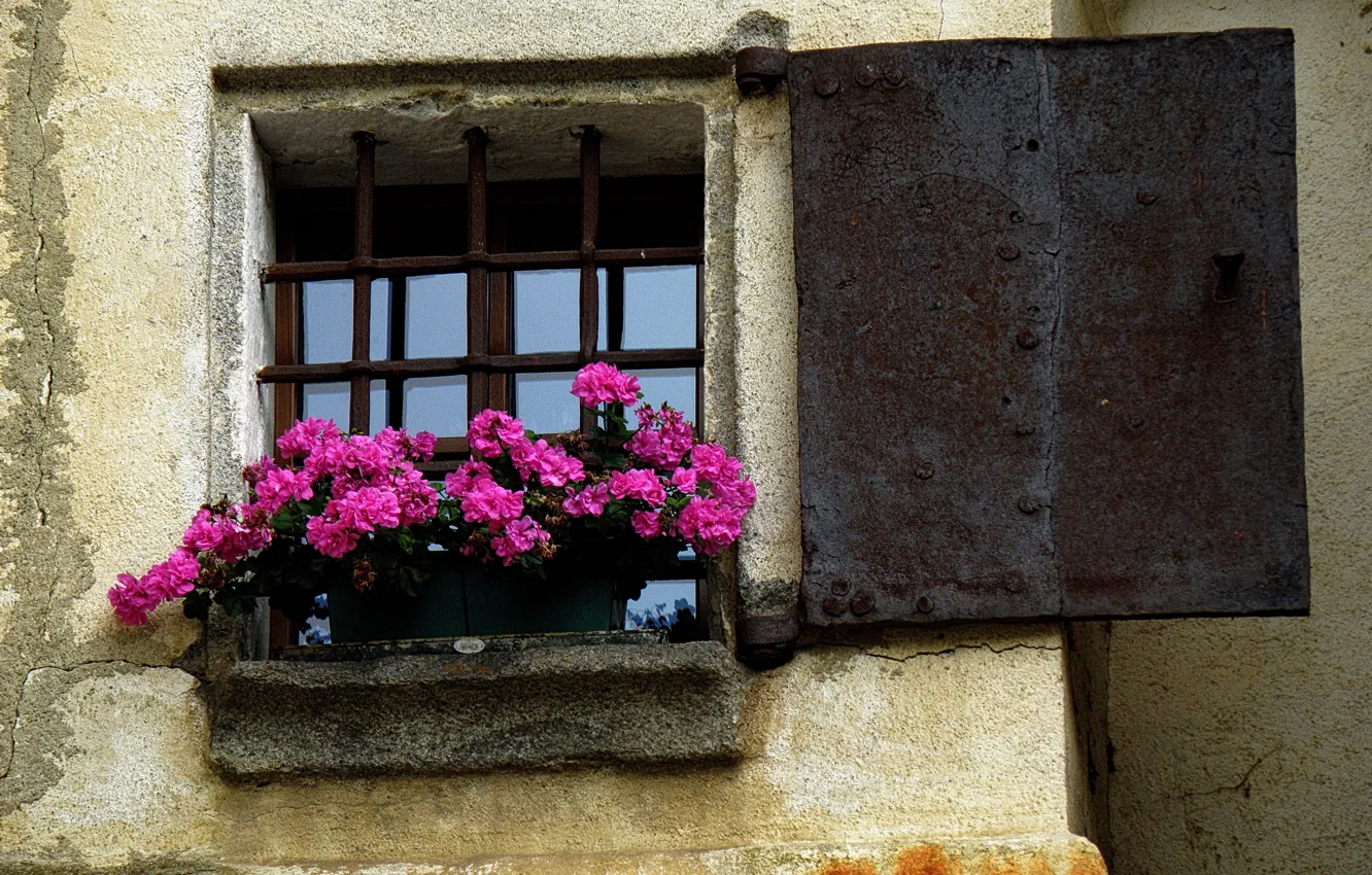 Фото обои цветы, Окно, Италия, горшки, Italy, flowers, Italia, finestra