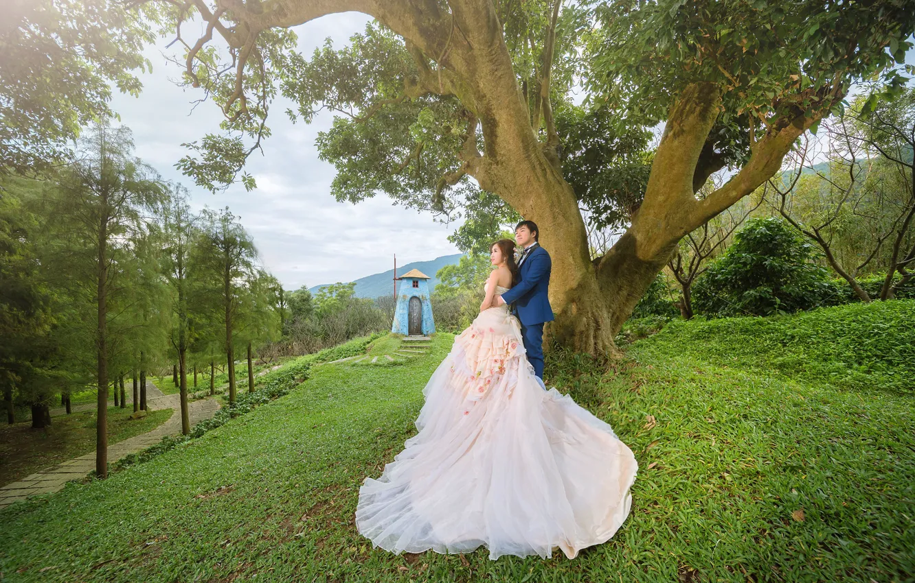 Фото обои девушка, любовь, дерево, Природа, Пара, парень, свадьба, молодожены