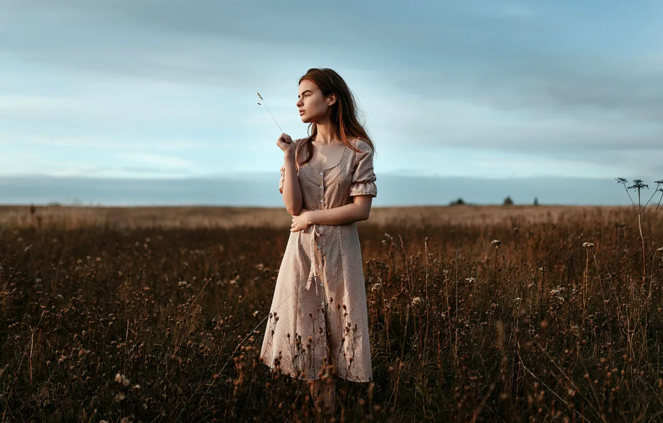 Фото обои девушка, платье, травинка, в поле, Ульяна Найденкова