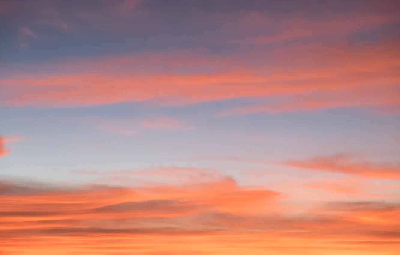 Фото обои небо, облака, закат, фон, colorful, розовые, sky, sunset