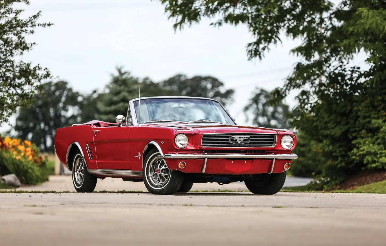 Фото обои Mustang, Ford, мустанг, форд, 1966