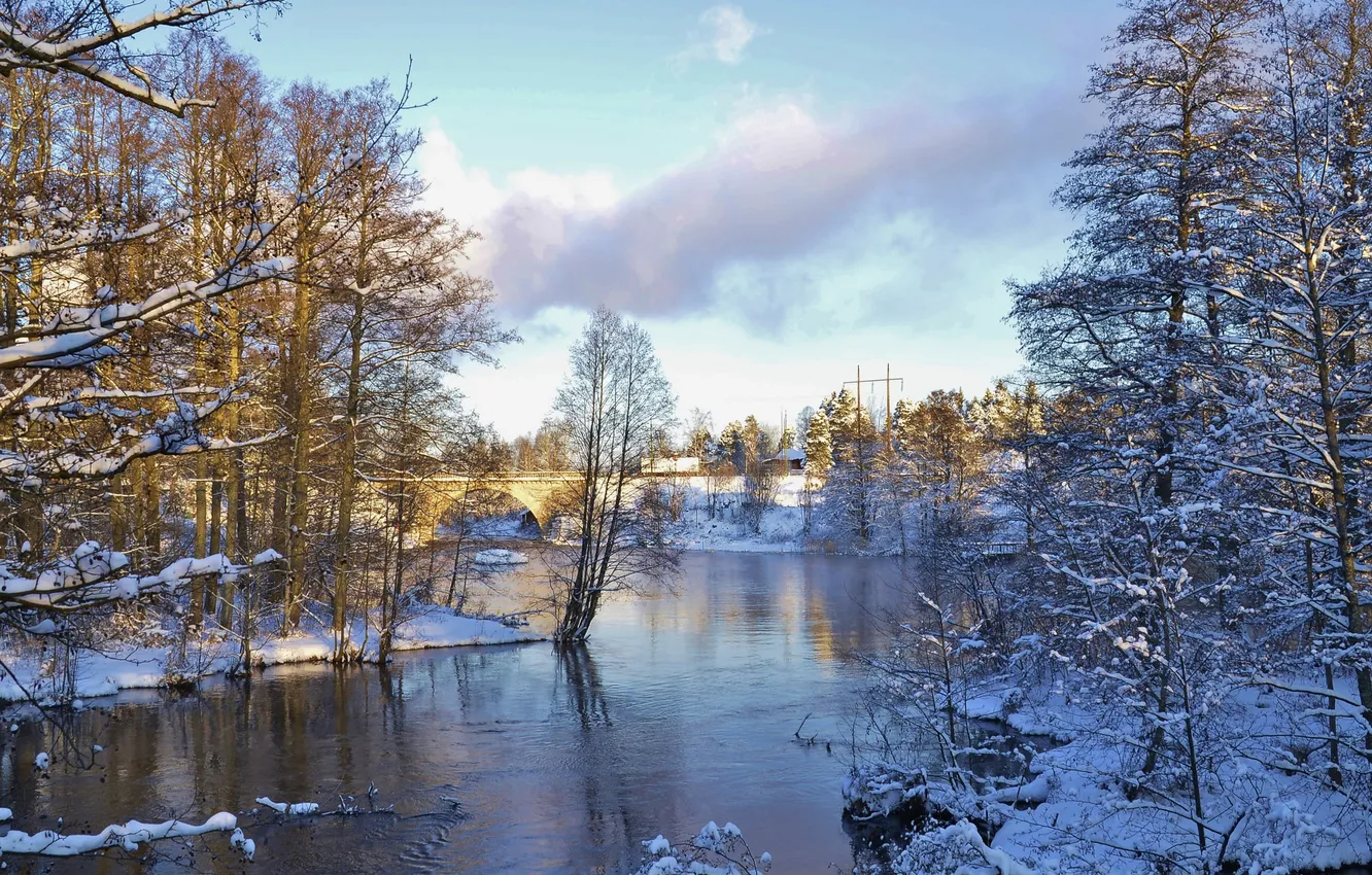 Фото обои зима, небо, снег, деревья, дом, река