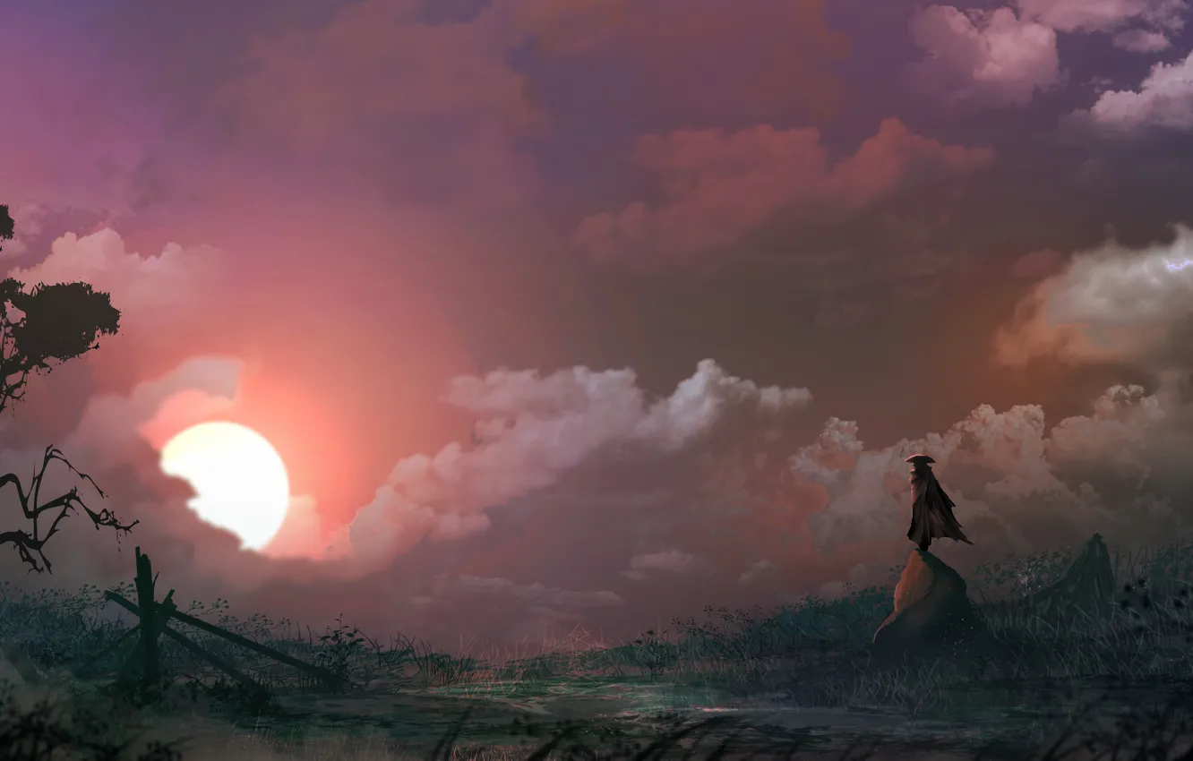 Фото обои солнце, закат, дерево, скалы, шляпа, фигура, мужчина