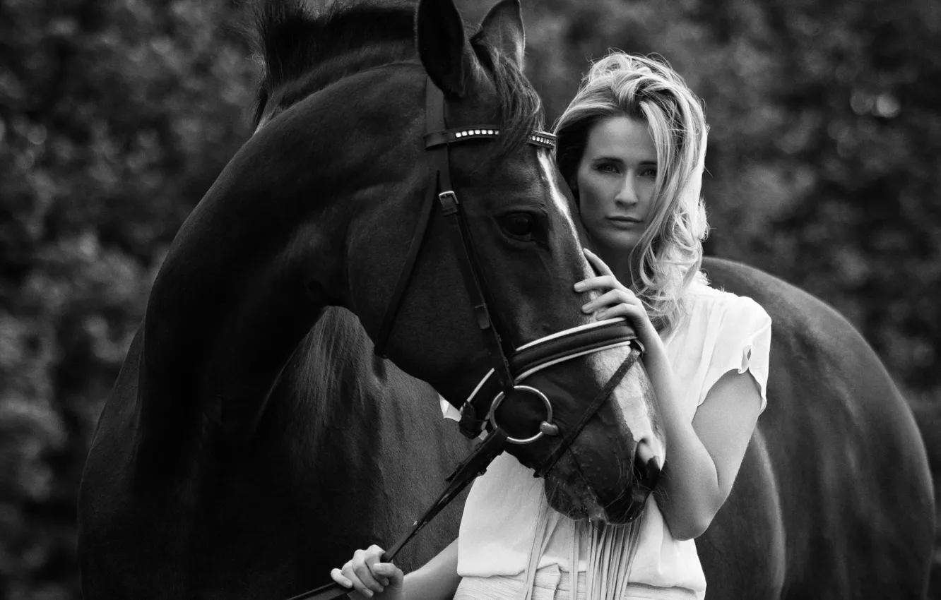 Фото обои девушка, фото, животное, конь, модель, лошадь, черно-белое