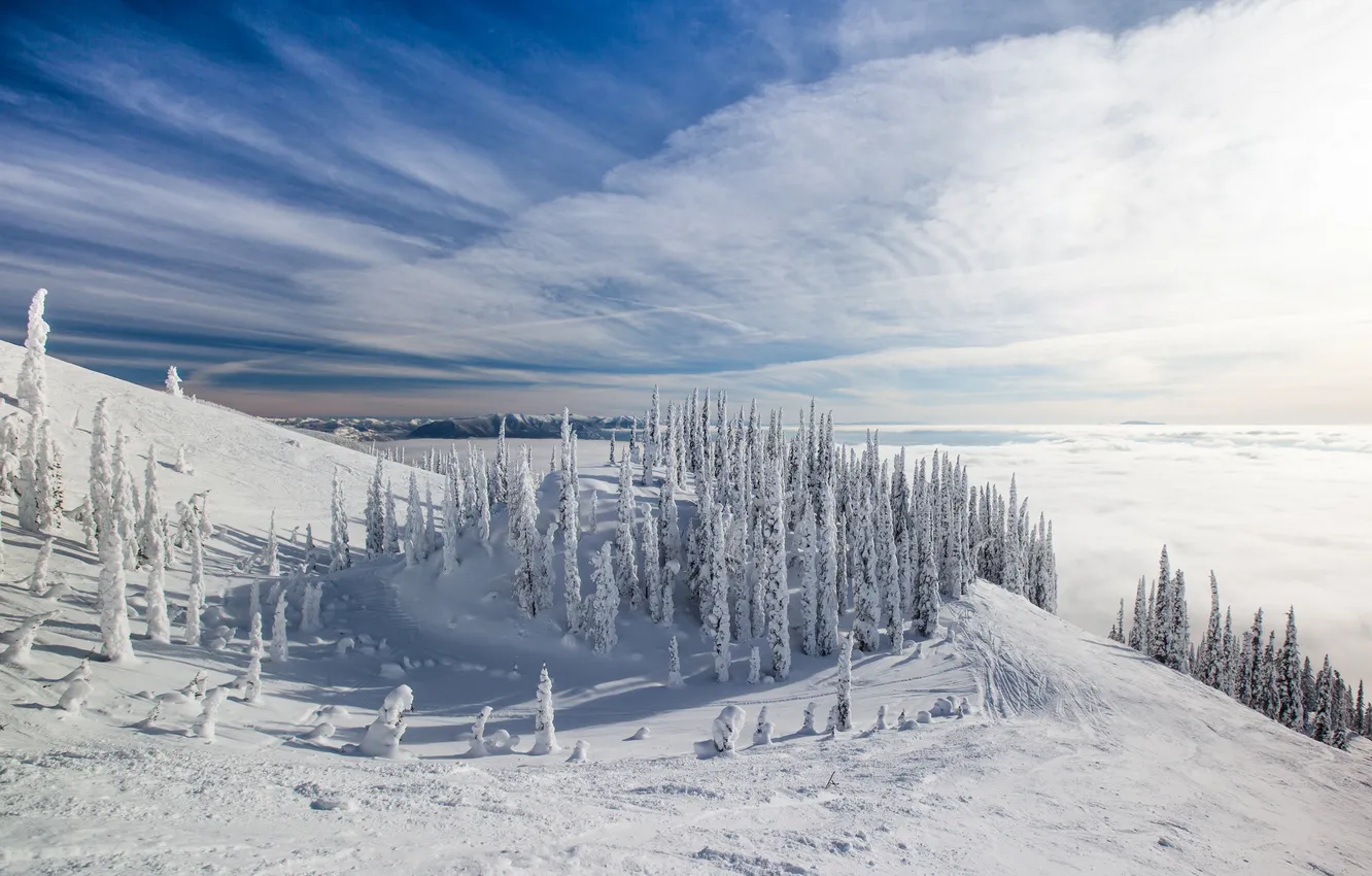 Фото обои зима, лес, снег, пейзаж, горы