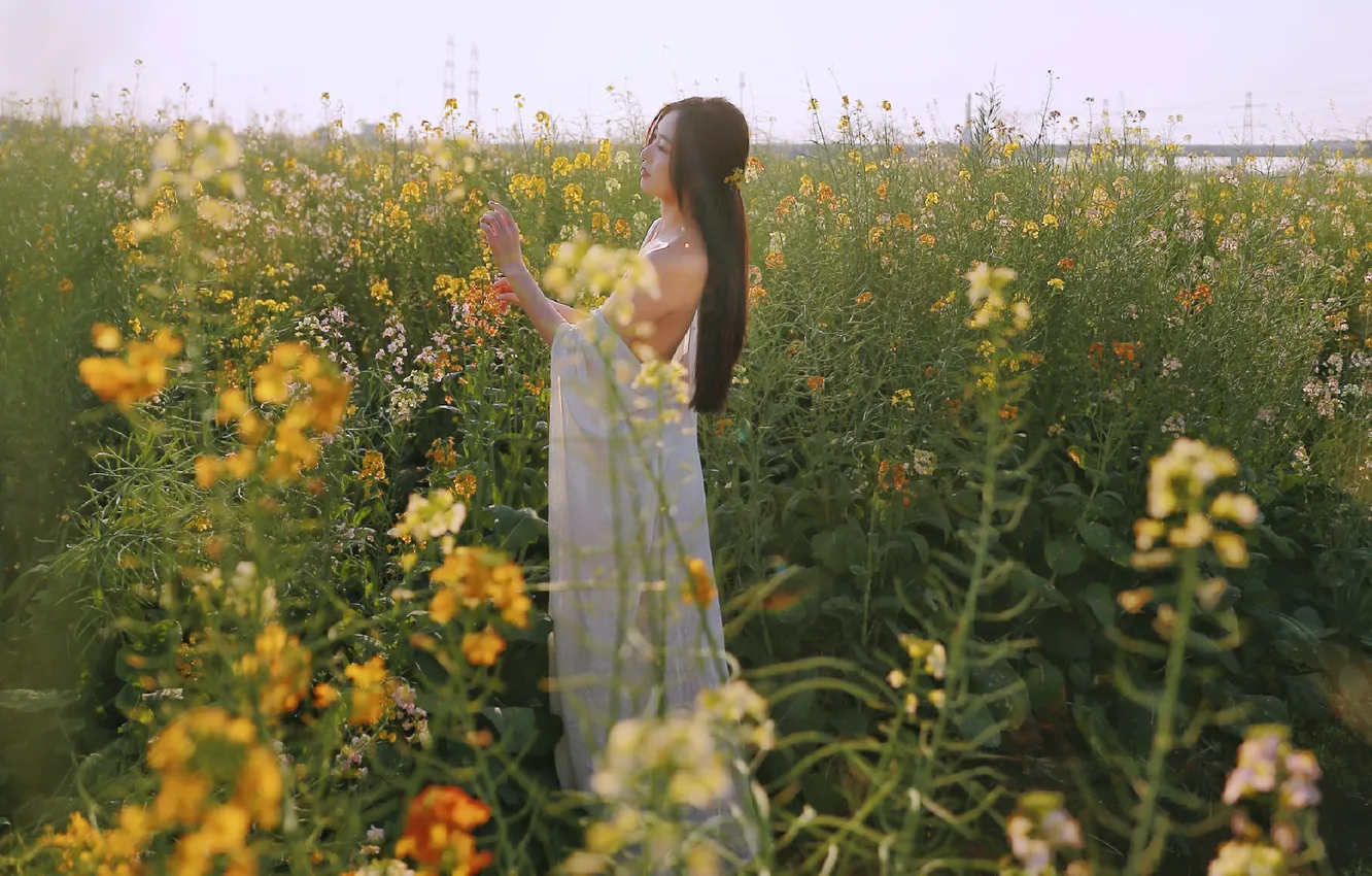 Фото обои Beautiful, Asian, Model, Flowers, Woman, Cute, Pretty, Sunny