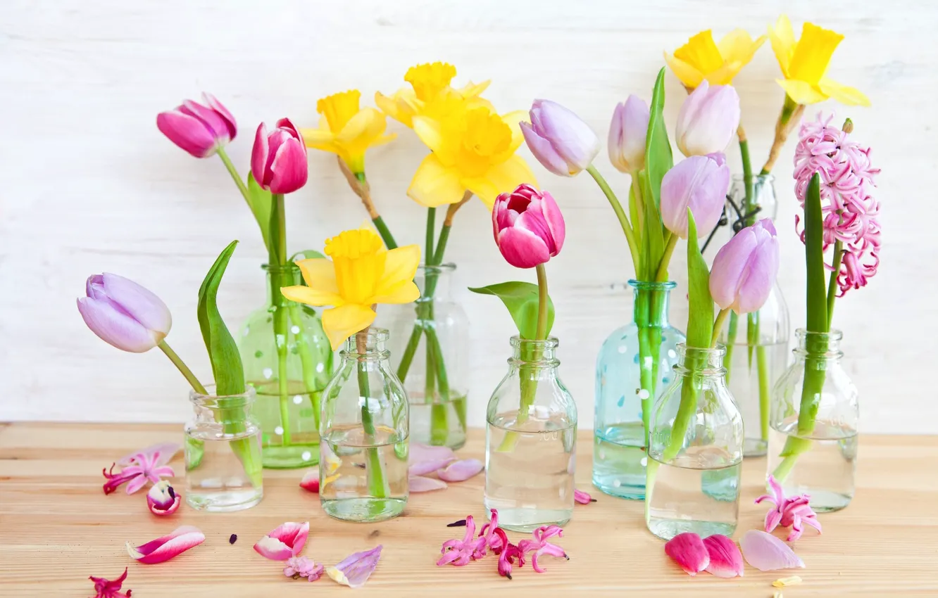 Фото обои цветы, желтые, лепестки, тюльпаны, розовые, нарциссы, бутылочки