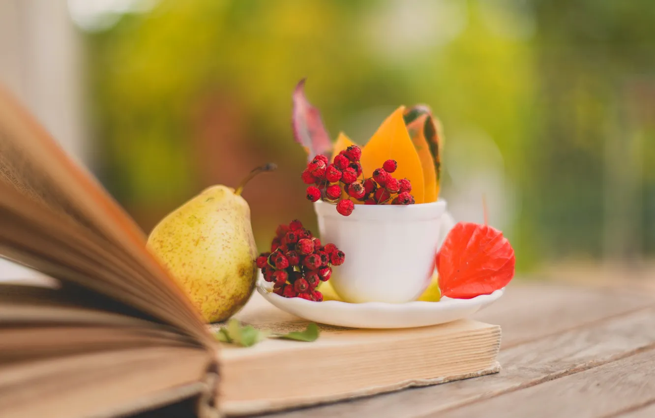 Фото обои осень, листья, ягоды, чашка, красные, книга, груша, листочки