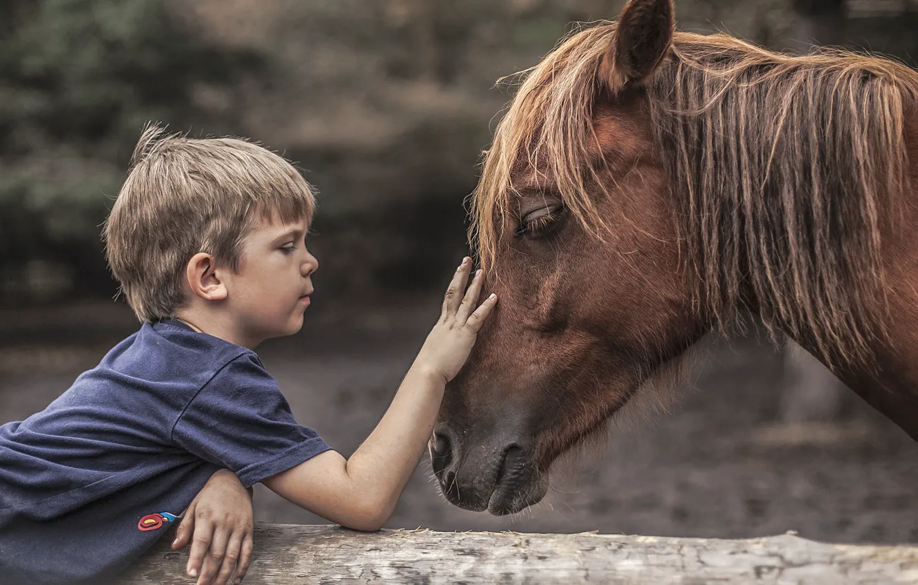 Фото обои настроение, конь, мальчик