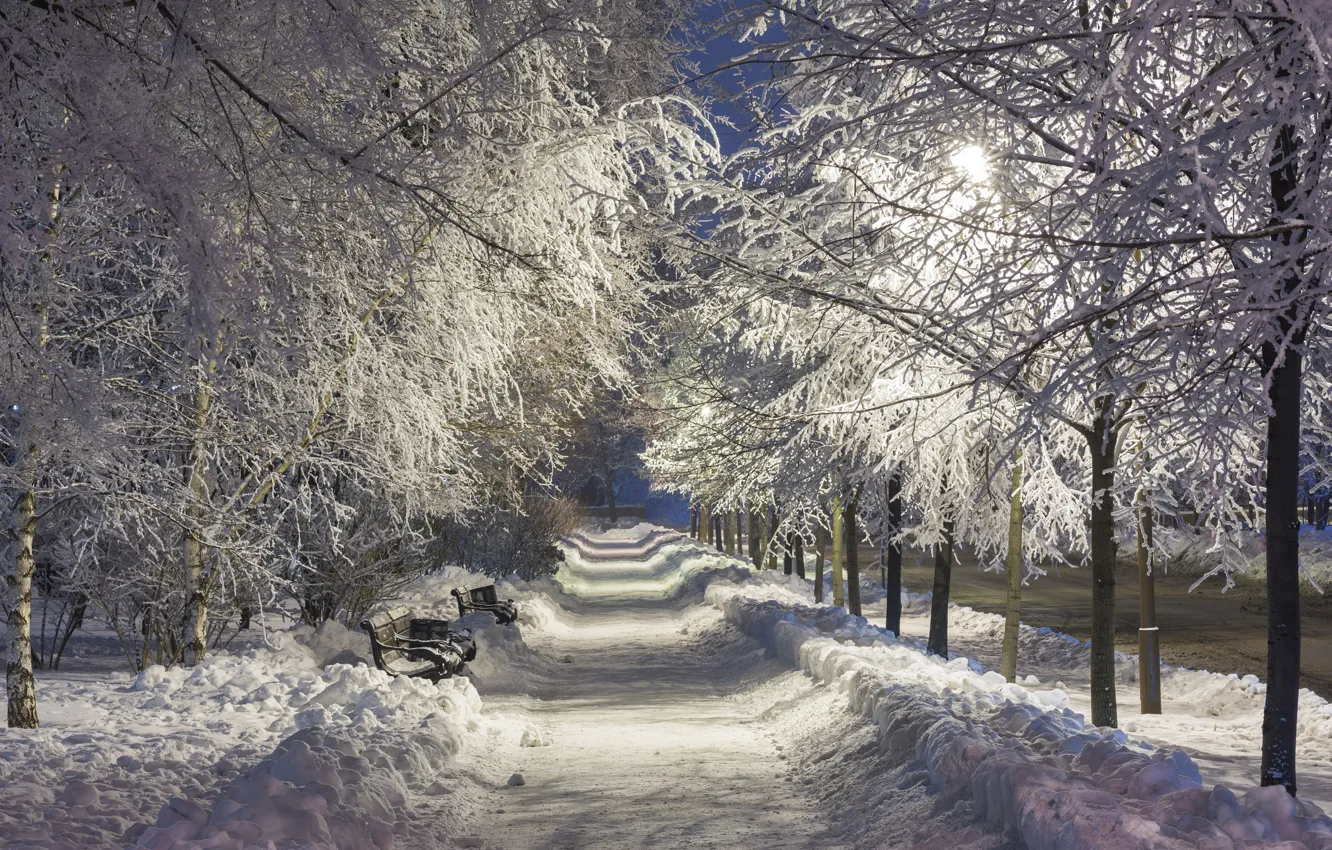 Фото обои зима, снег, ночь, парк, night, park, winter, snow