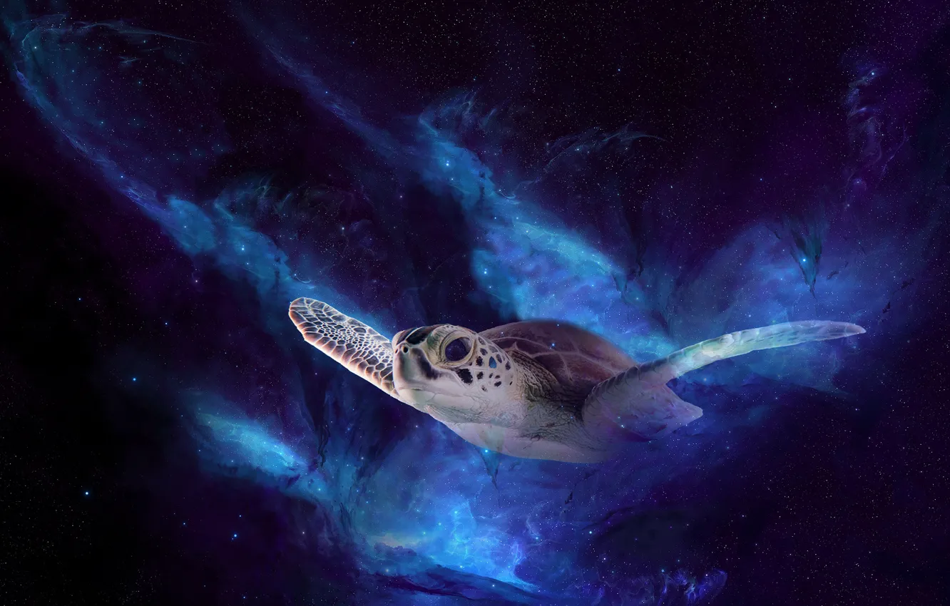Фото обои космос, полет, ночь, рендеринг, черепаха, морская черепаха