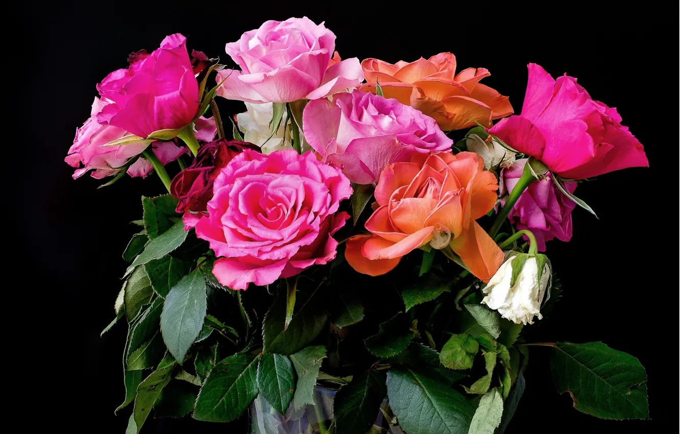 Фото обои фон, розы, букет, colorful, розовые, красивые, Roses, background