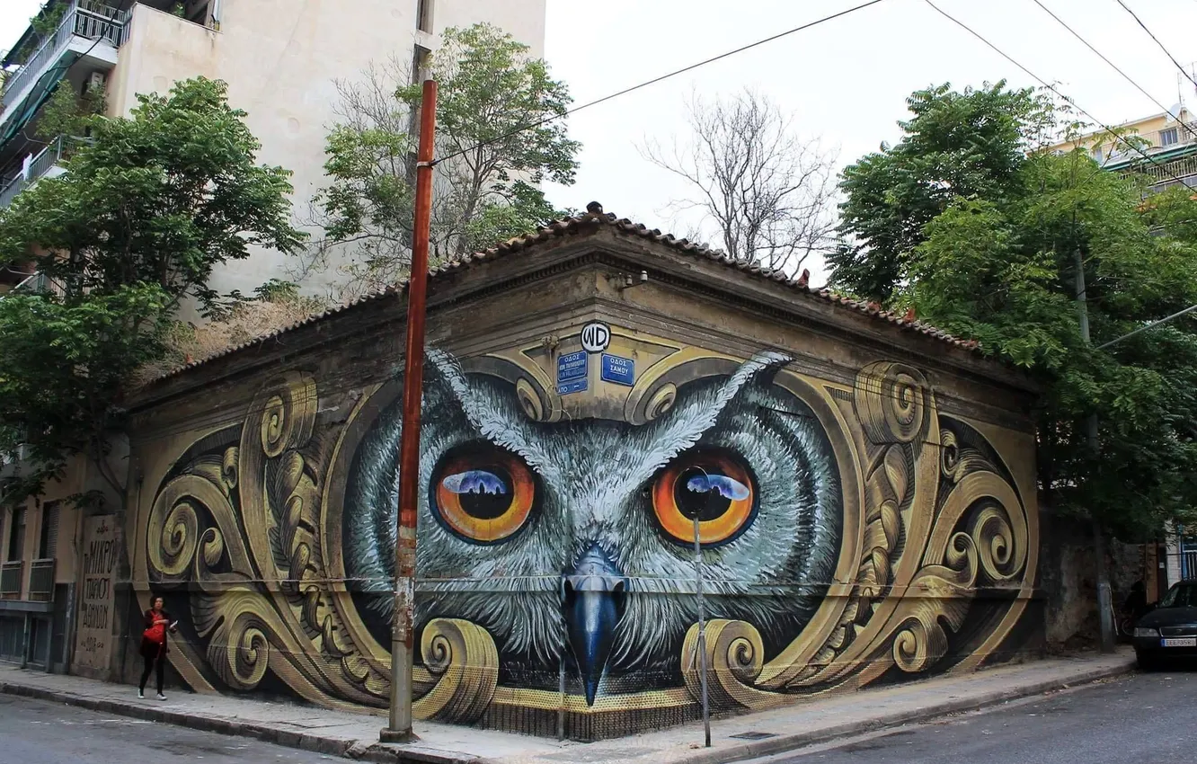 Фото обои глаза, city, город, сова, птица, улица, здание, bird