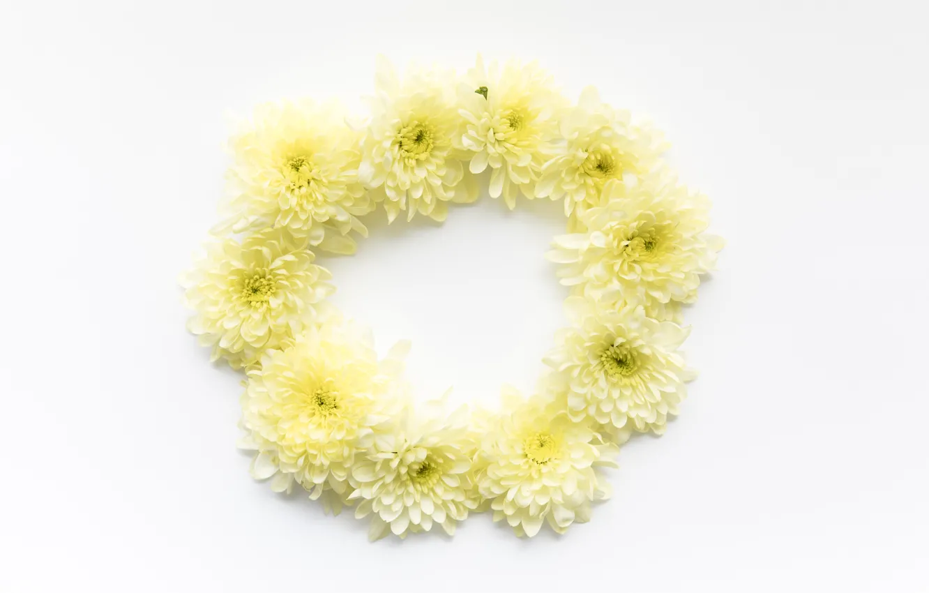 Фото обои цветы, круг, желтые, yellow, from, daisies, декор, маргаритки