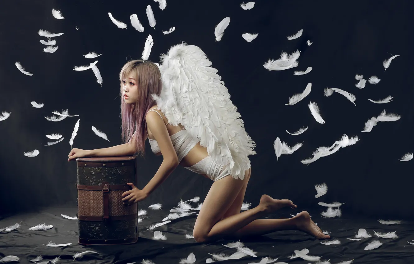 Фото обои крылья, ангел, перья, азиатка