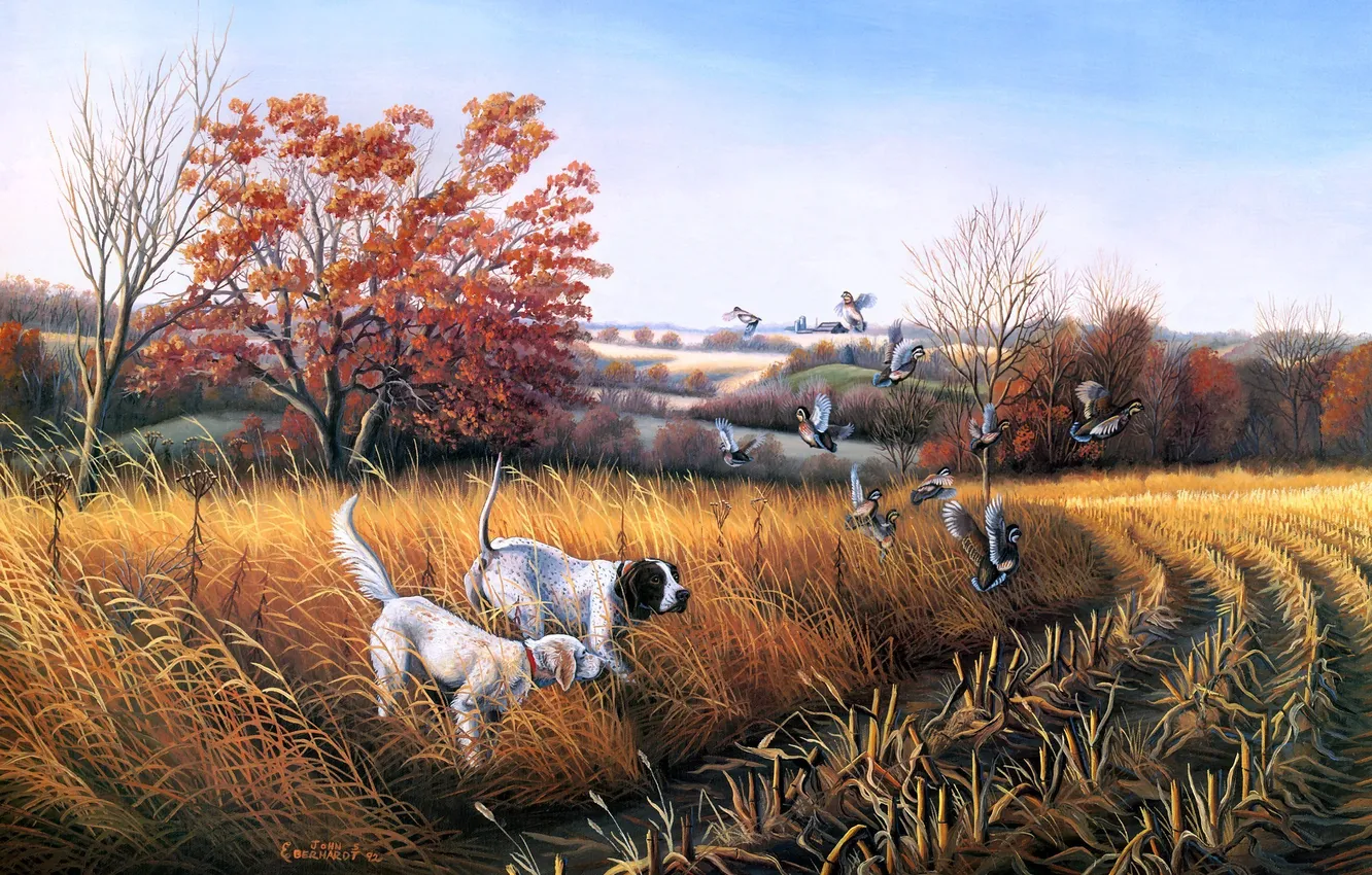 Фото обои поле, осень, утки, собака, живопись, Bird Dog Country, John S. Eberhardt, собака для охоты на …