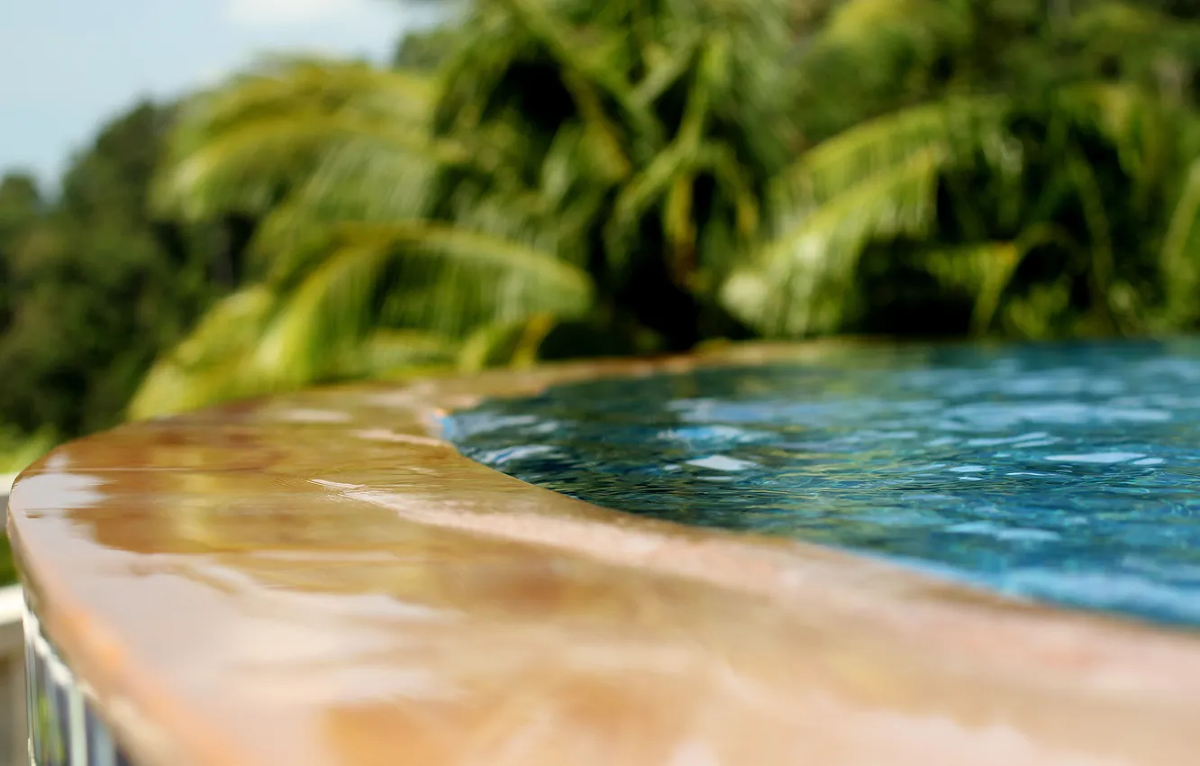 Фото обои вода, пальмы, фонтан