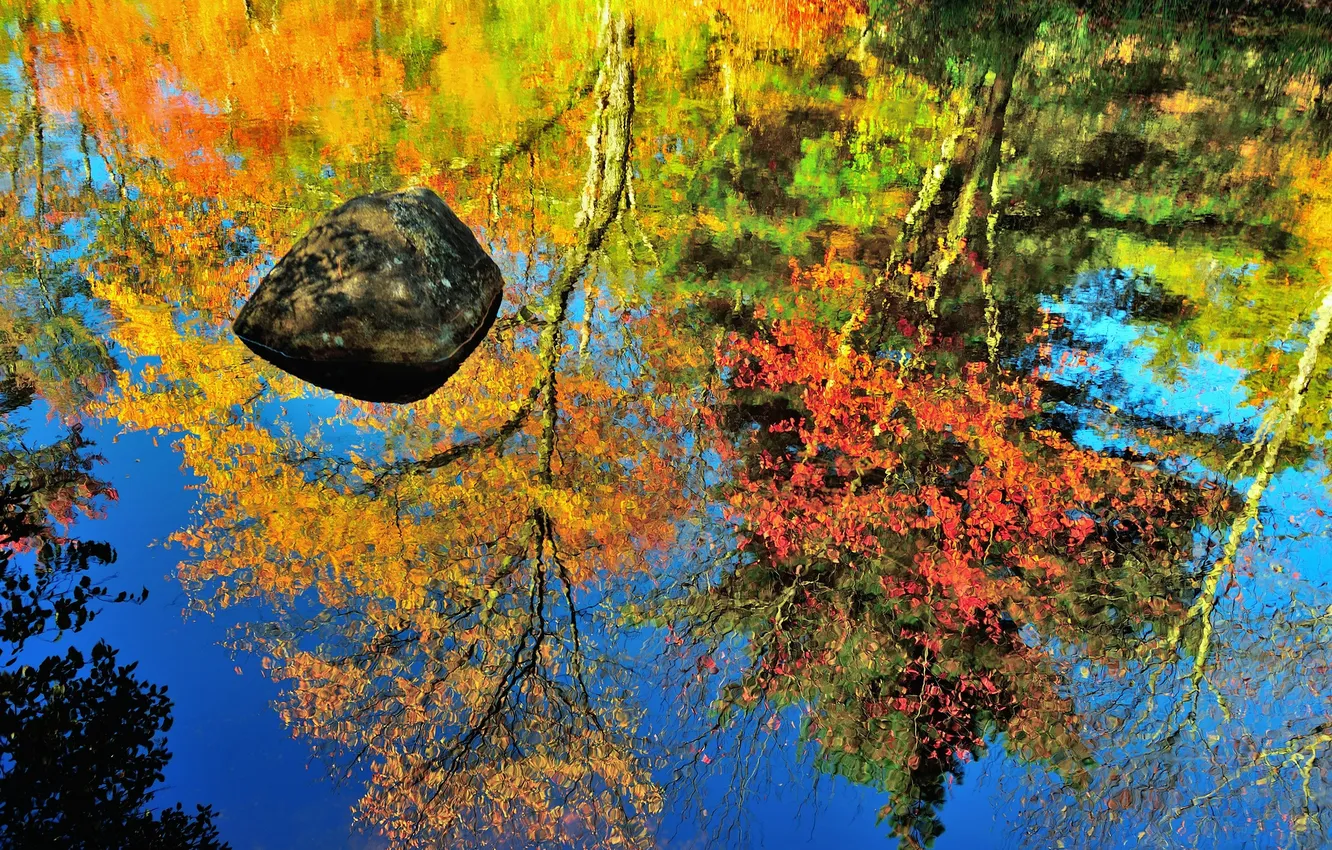 Фото обои осень, отражение, камень, водоем