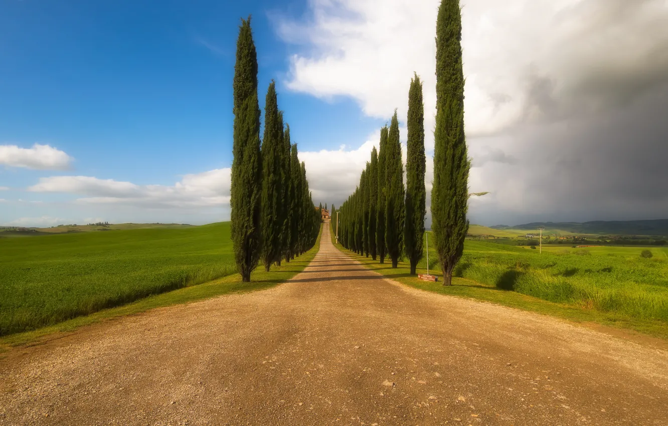 Фото обои italy, toscana, beautiful road