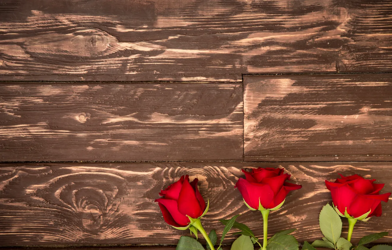 Фото обои букет, red, wood, romantic, roses, красные розы