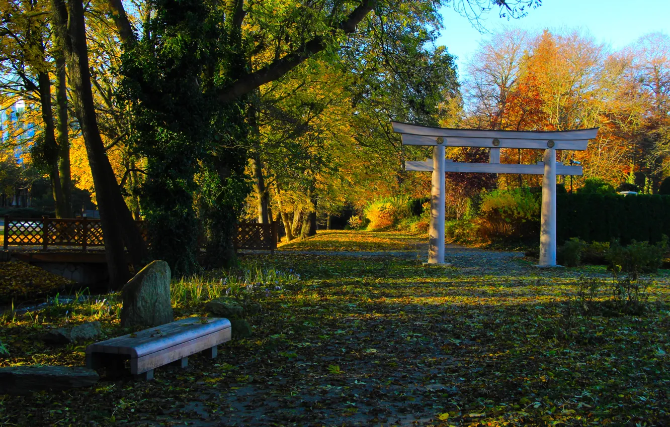 Фото обои japan, park, autumn, garden