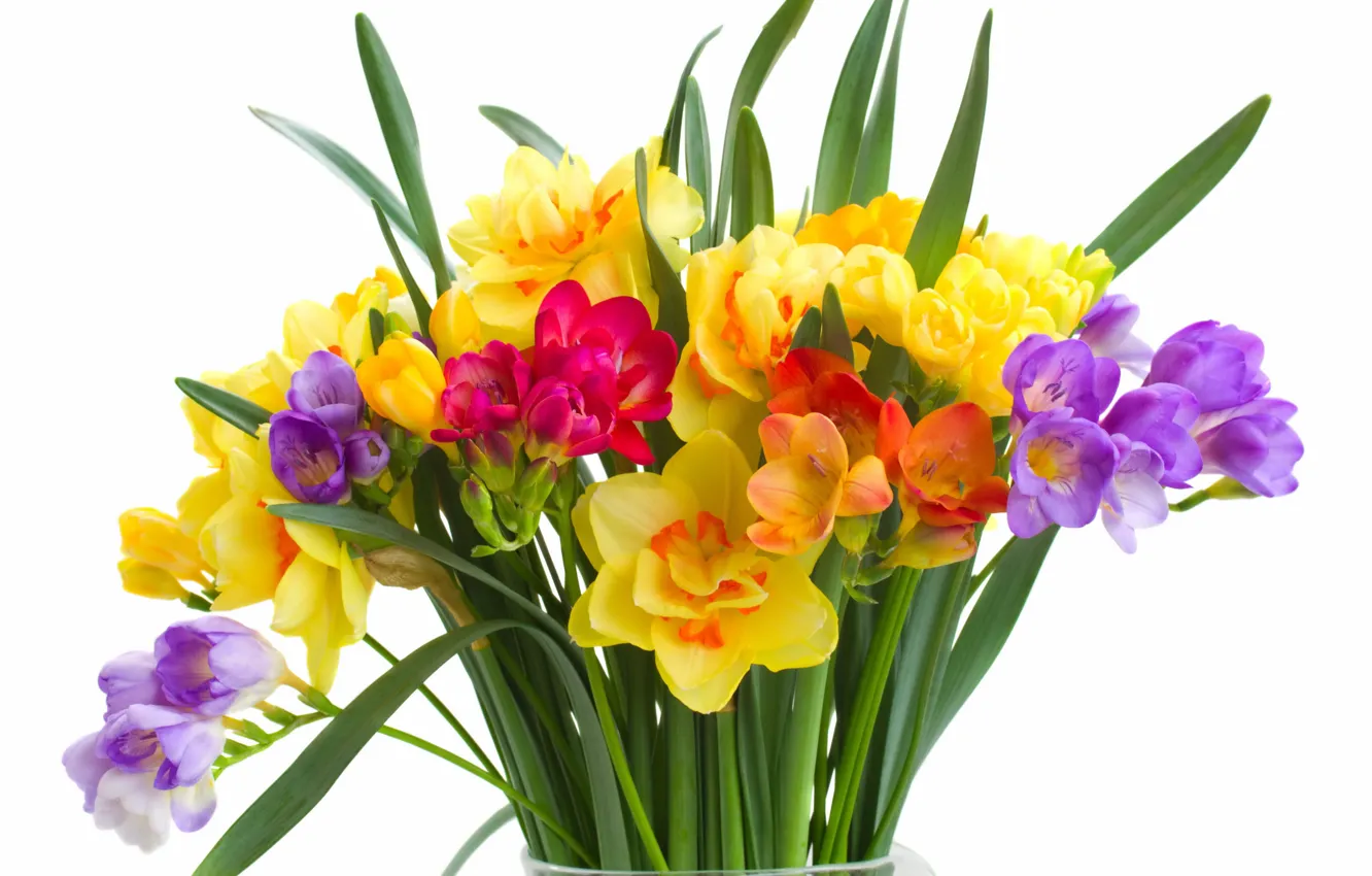 Фото обои colorful, flowers, нарциссы, spring, bouquet