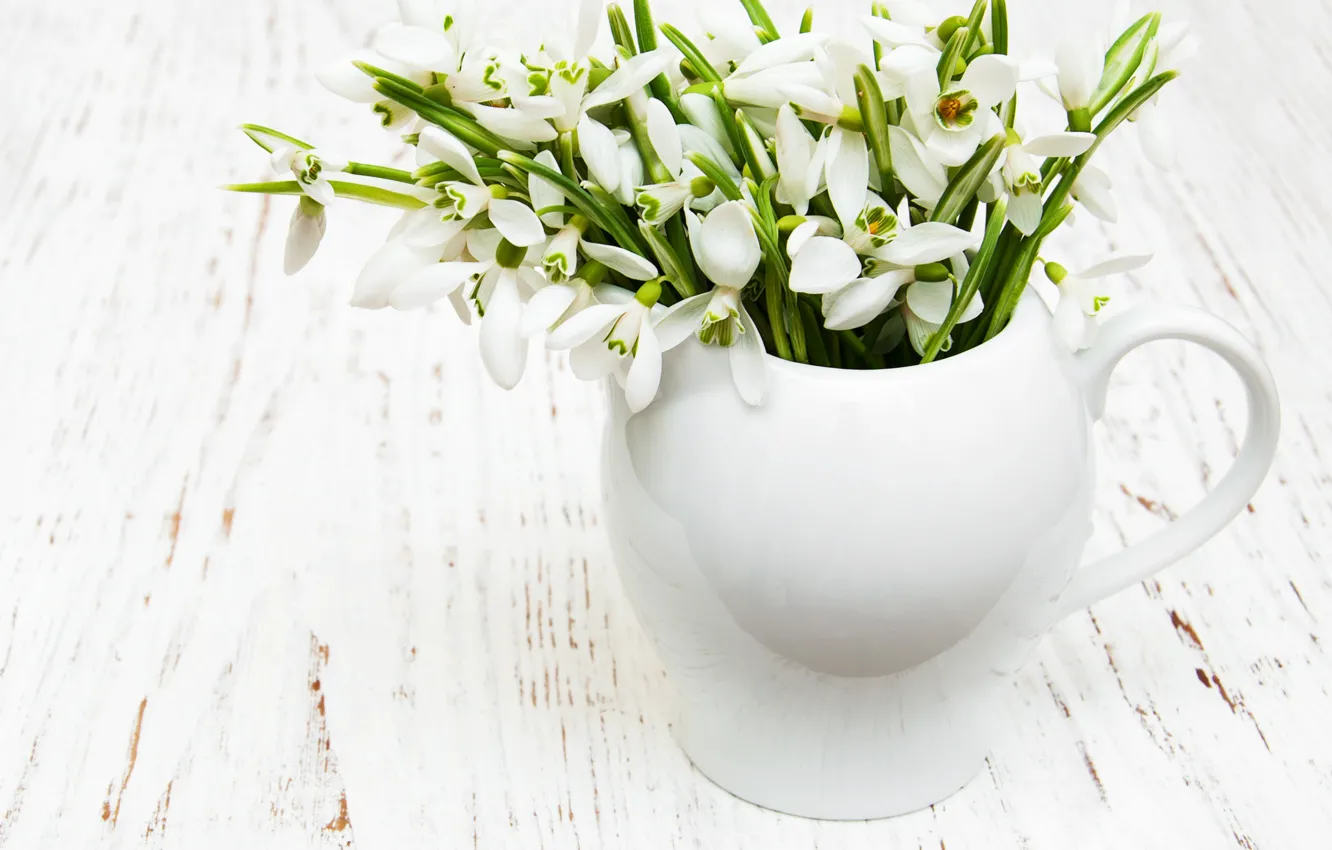 Фото обои цветы, букет, подснежники, white, белые, flowers, spring, snowdrops