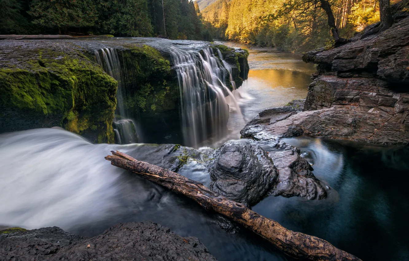Фото обои осень, лес, река, камни, скалы, берег, течение, водопад