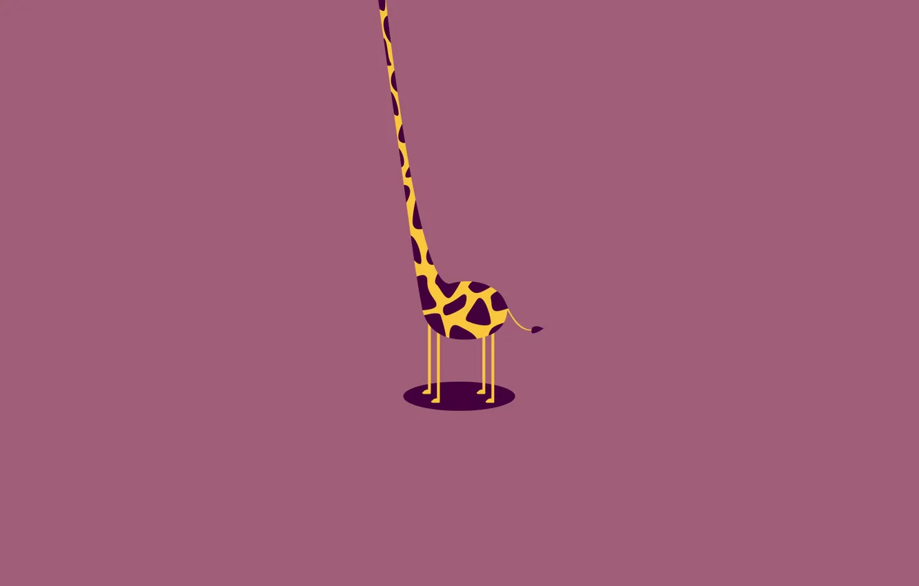 Фото обои туловище, жираф, шея, безголовый