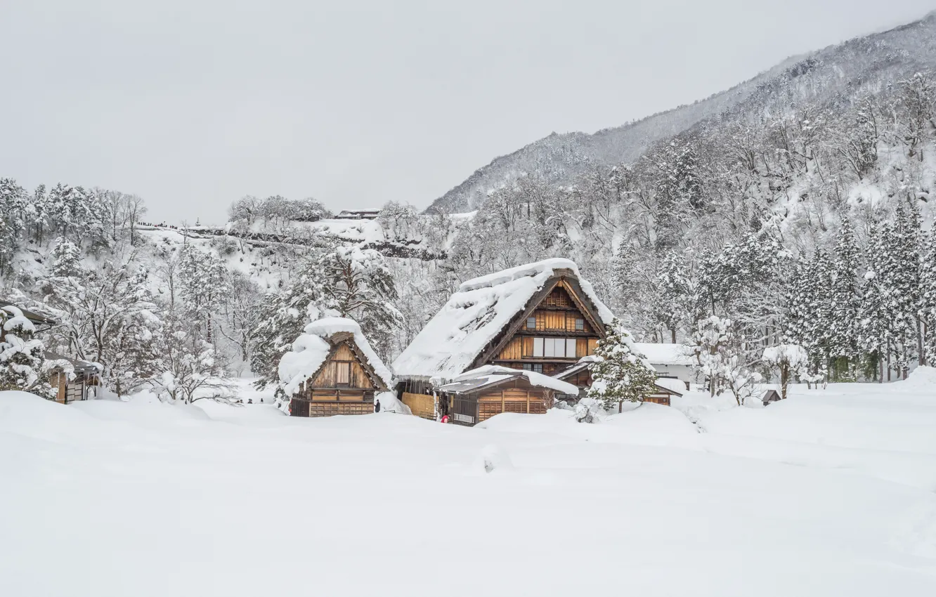 Фото обои зима, снег, деревья, пейзаж, природа, зимний, домик, house