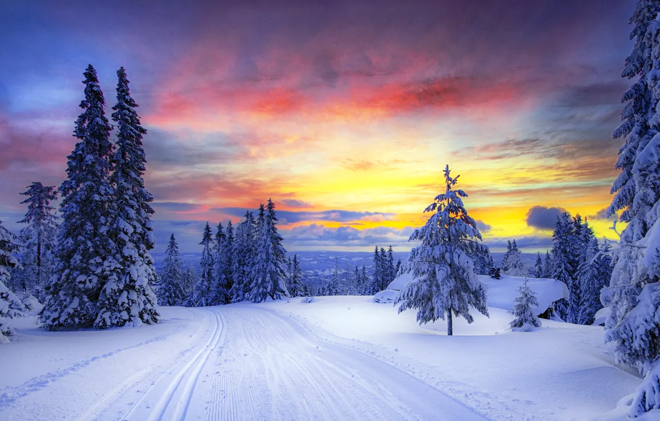 Фото обои зима, дорога, лес, небо, облака, снег, деревья, закат