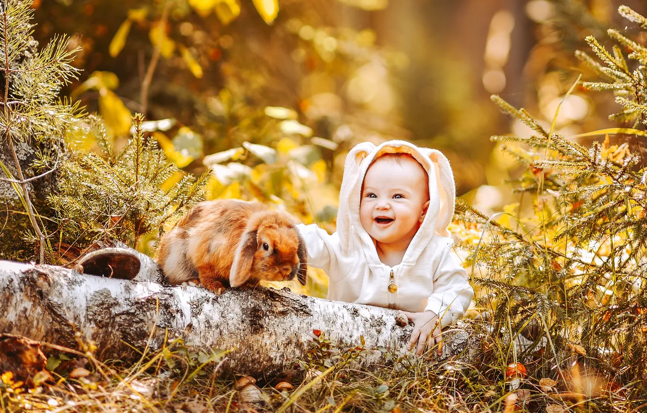 Фото обои осень, лес, радость, природа, животное, кролик, малыш, ствол