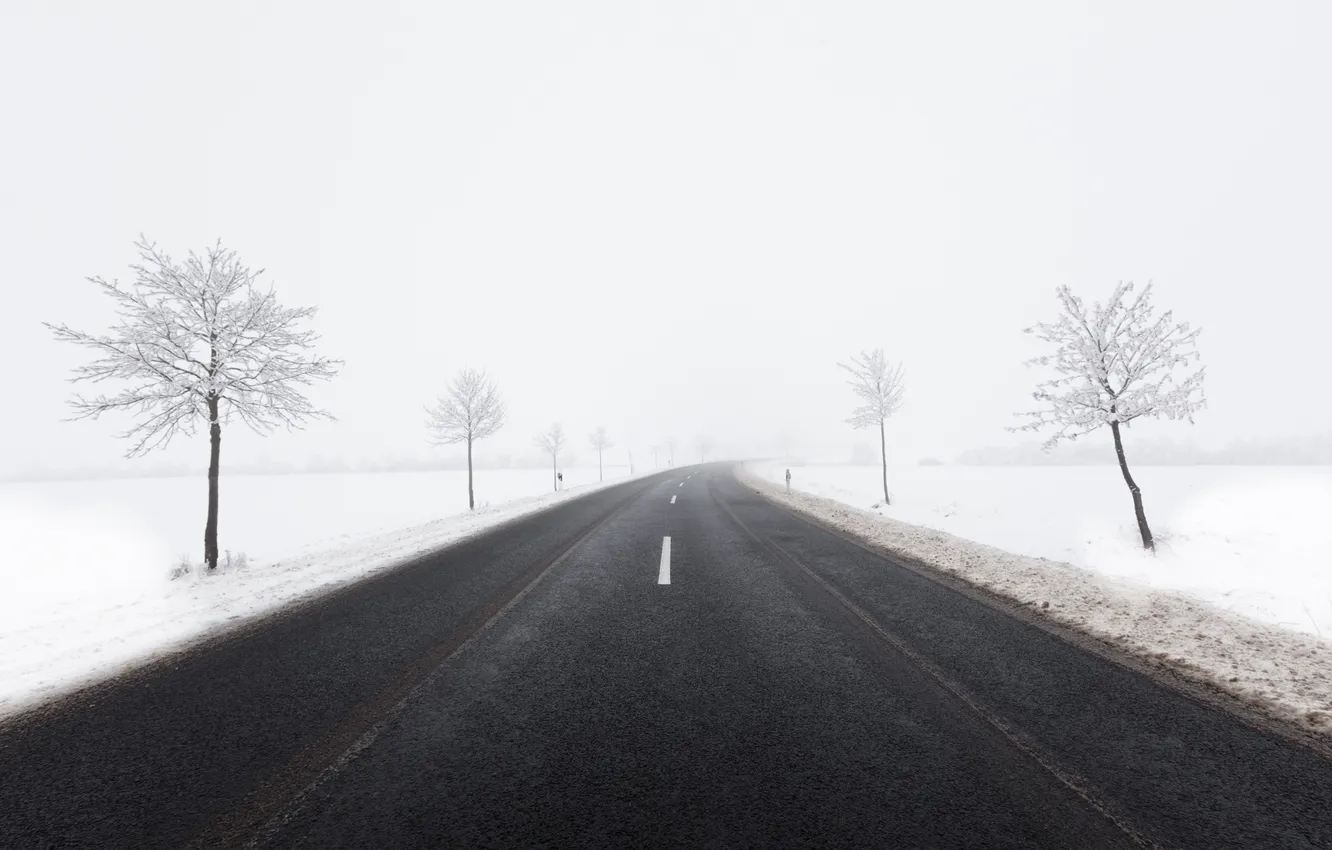 Фото обои зима, дорога, снег, деревья, туман