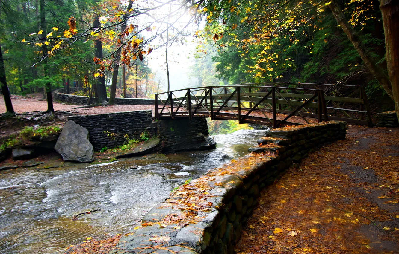 Фото обои осень, деревья, мост, парк, ручей