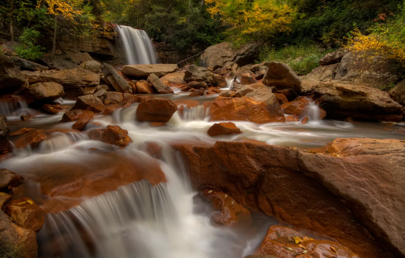 Фото обои осень, река, камни, водопад, West Virginia, Западная Виргиния, Blackwater River, Douglas Falls