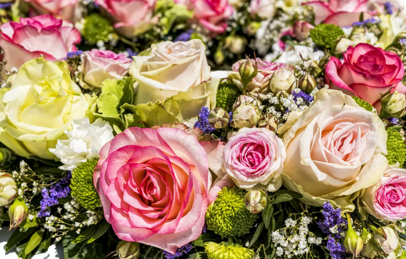 Фото обои цветы, розы, букет, розовые, белые, бутоны, разноцветные, разное