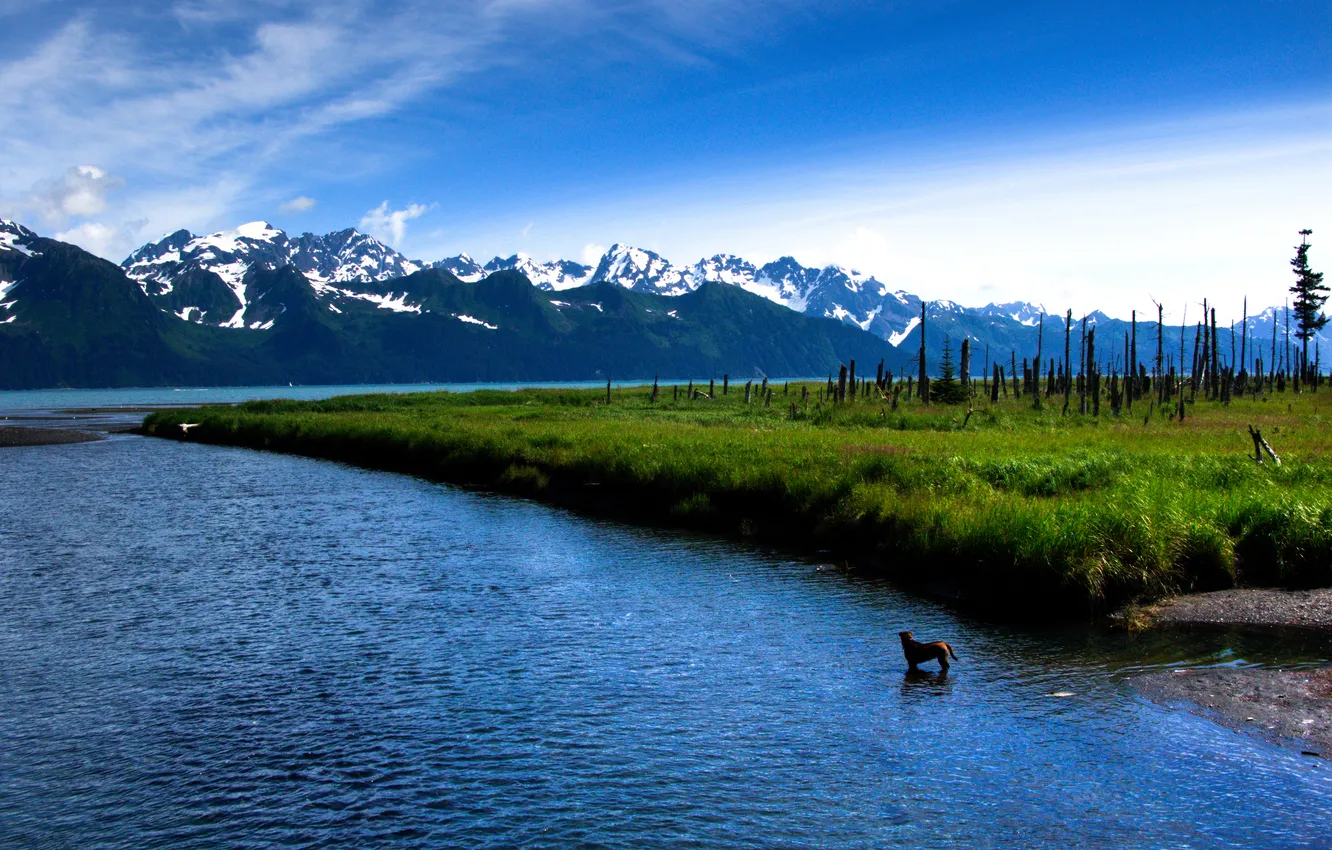 Фото обои трава, горы, озеро, Salmon Run