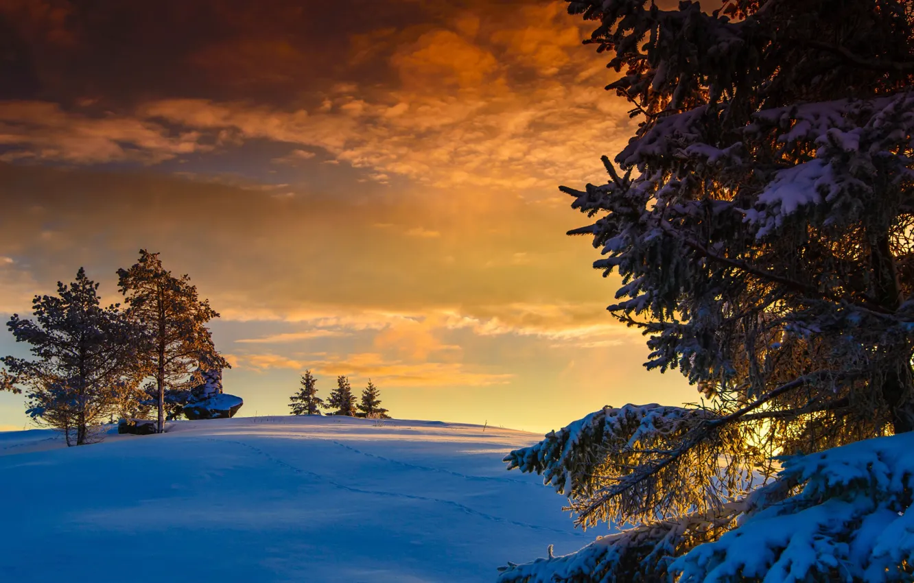 Фото обои солнце, снег, Норвегия