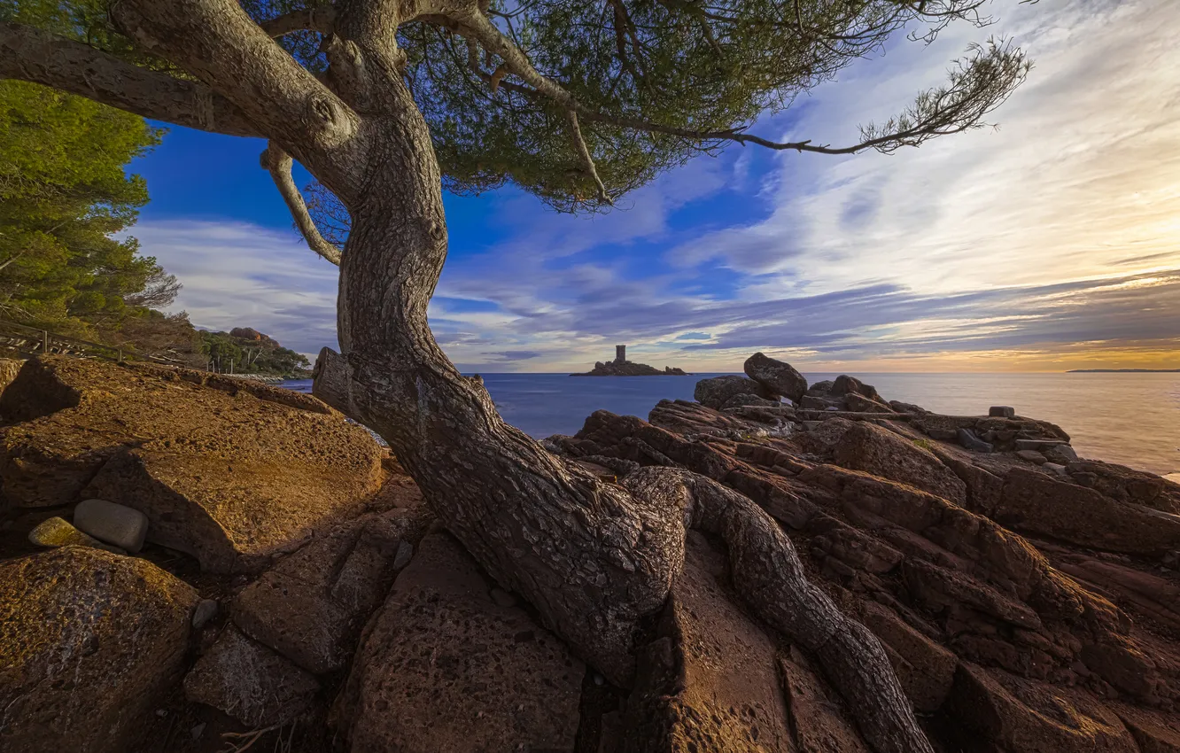 Фото обои море, пляж, камни, дерево, остров, утро, залив