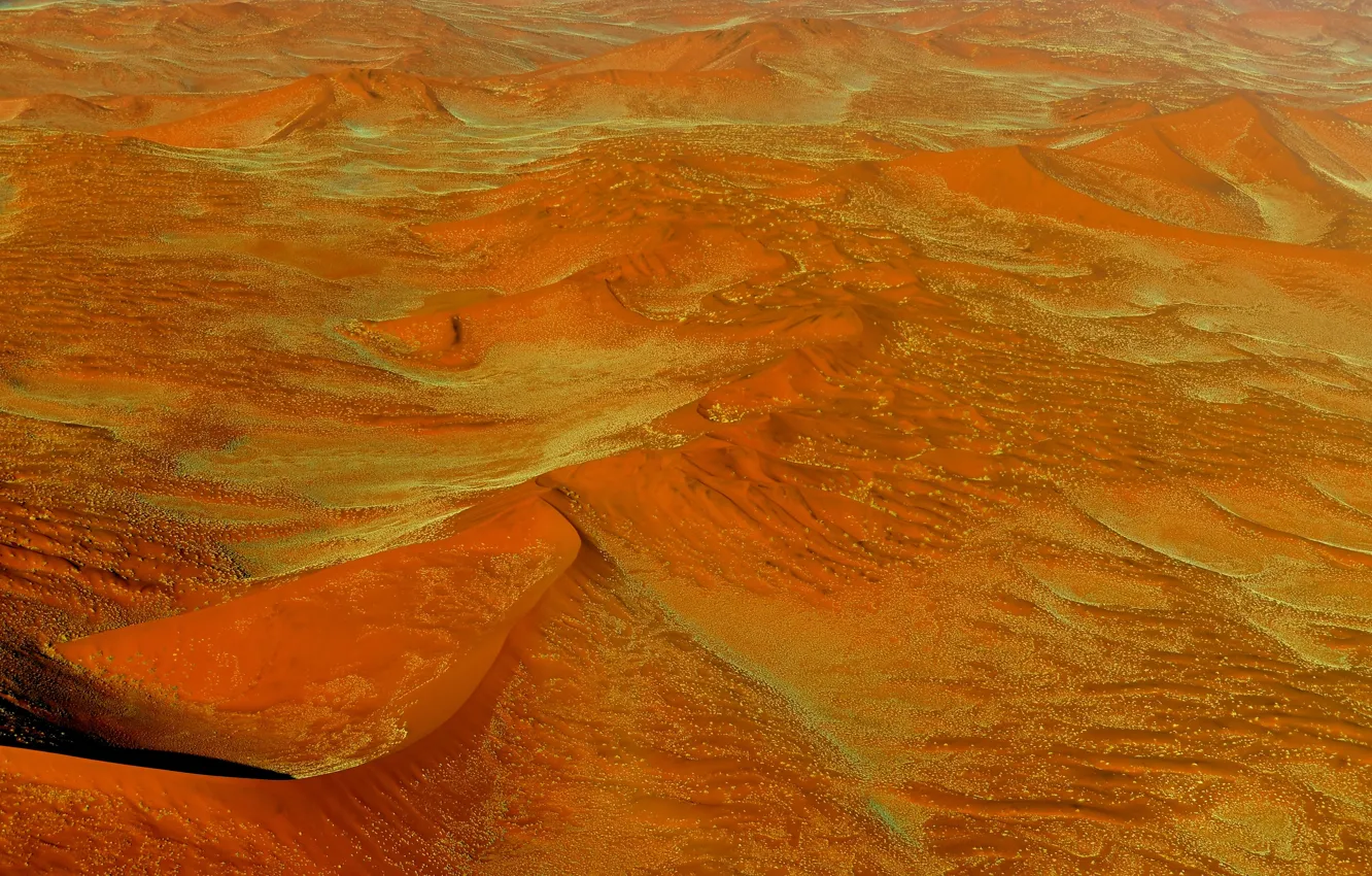 Фото обои песок, оранжевый, пустыня, дюны, Африка, Намибия