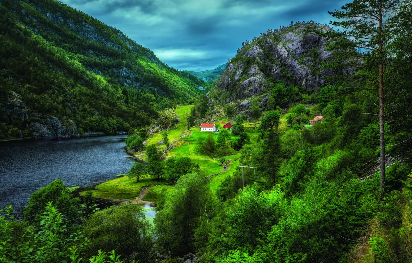 Фото обои деревья, горы, Норвегия, домики, фьорд