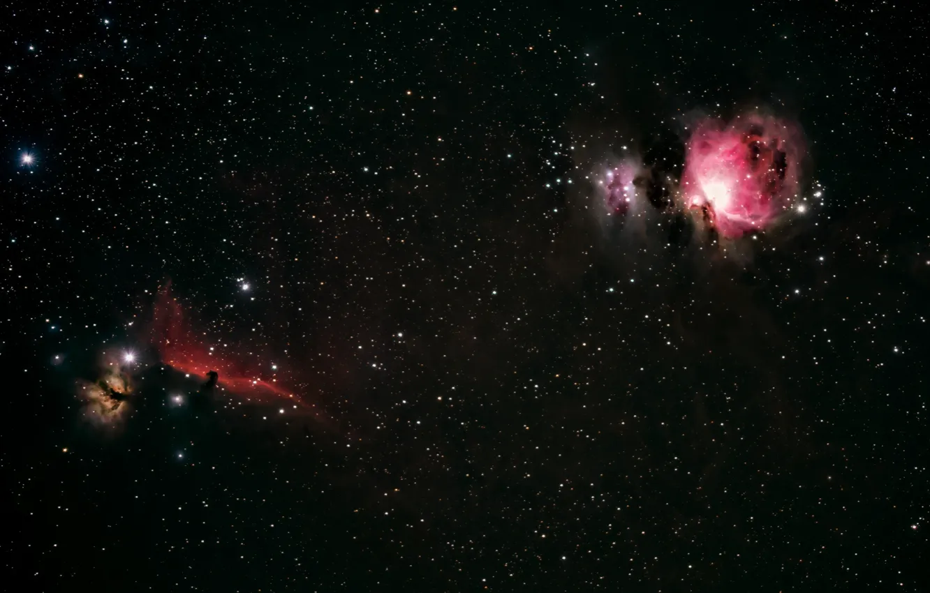 Фото обои космос, звезды, Orion, Horsehead
