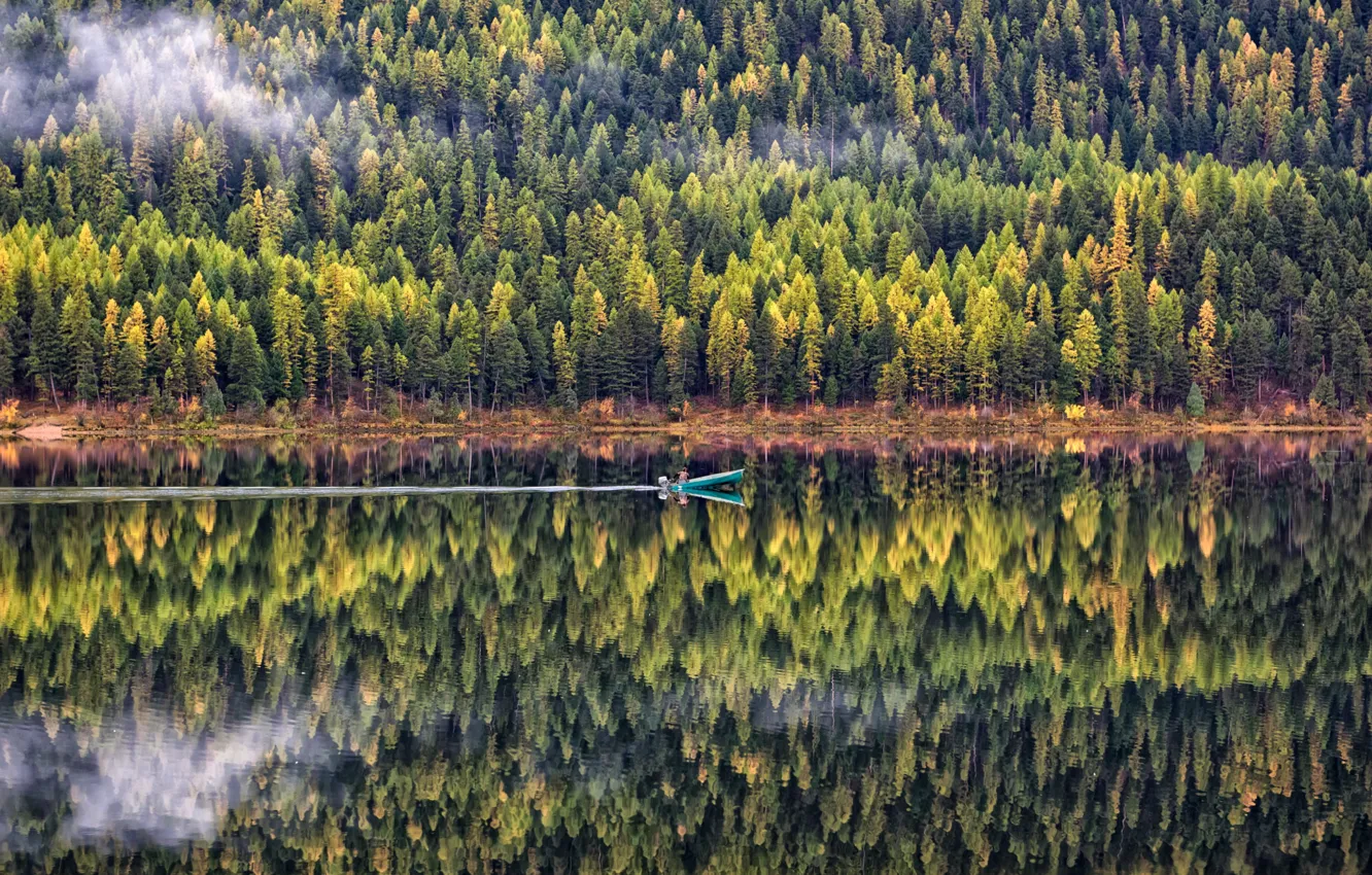 Фото обои лес, вода, деревья, пейзаж, природа, отражение, лодка