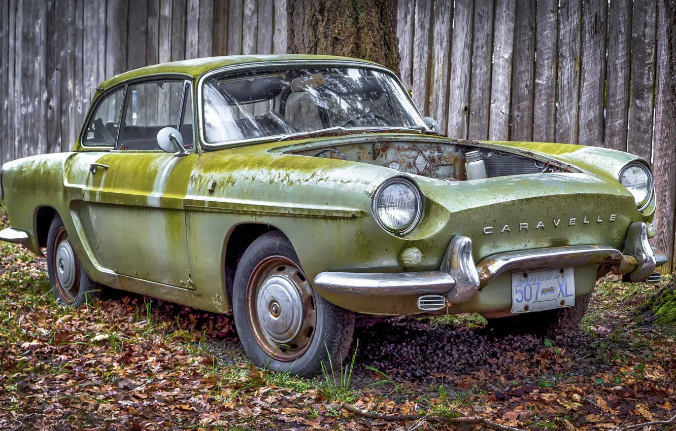 Фото обои старина, ржавый, автомобиль, Renault Caravelle
