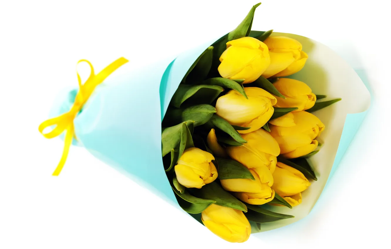 Фото обои цветы, желтый, букет, тюльпаны