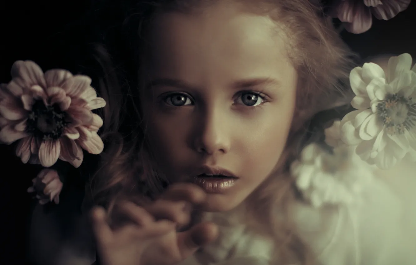 Фото обои взгляд, цветы, лицо, девочка
