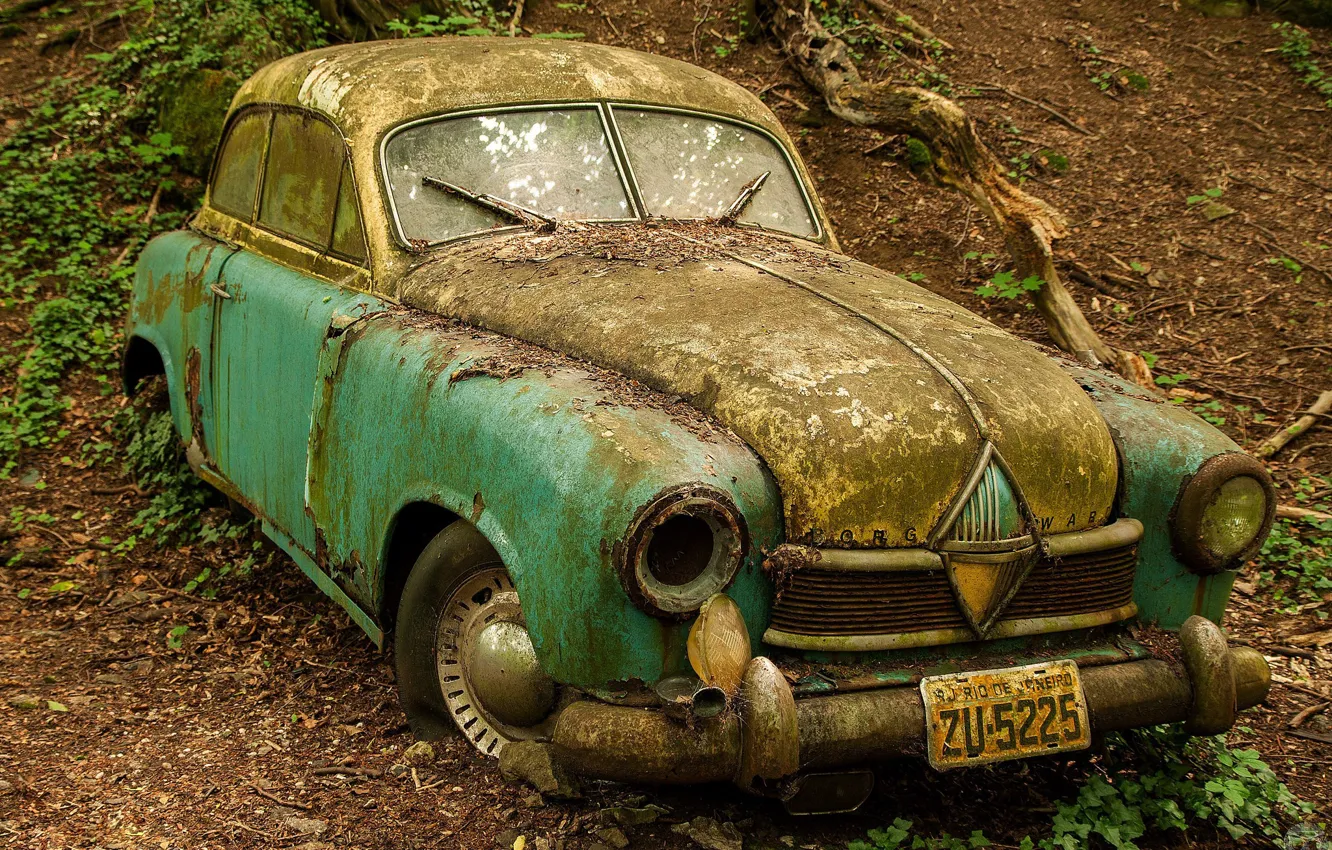 Фото обои лес, брошенный, ржавчина, старый, автомобиль