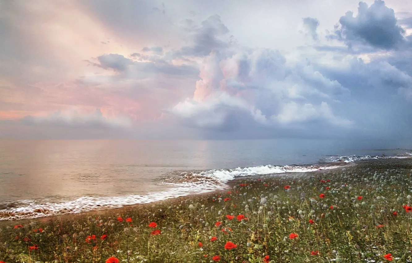 Фото обои море, облака, цветы, прибой