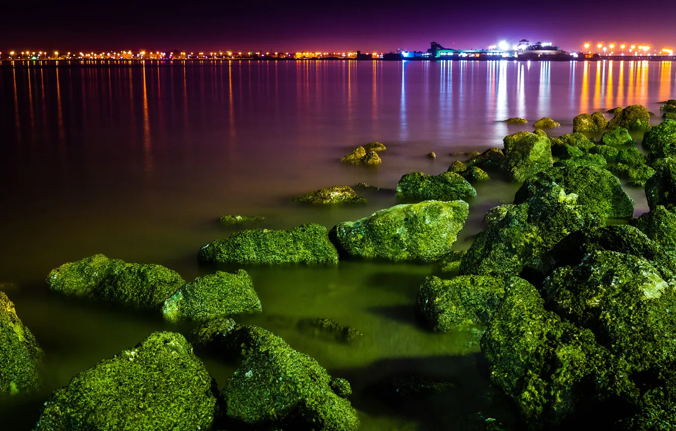 Фото обои водоросли, ночь, город, огни, камни, порт, залив